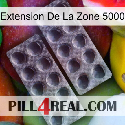 Exten Zone 5000 31